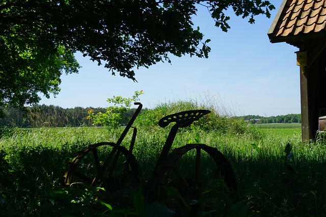 Free Agriculture Fields photo and picture