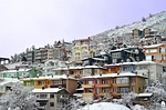 kiis, winter, snow