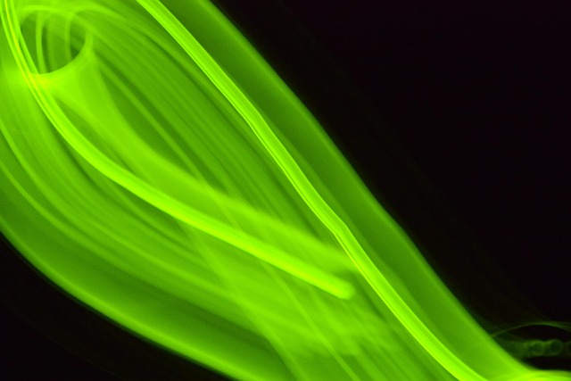 Free Green Light photo and picture