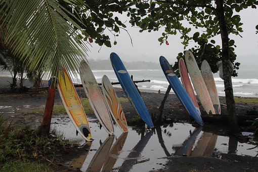Free Surfing Sports photo and picture