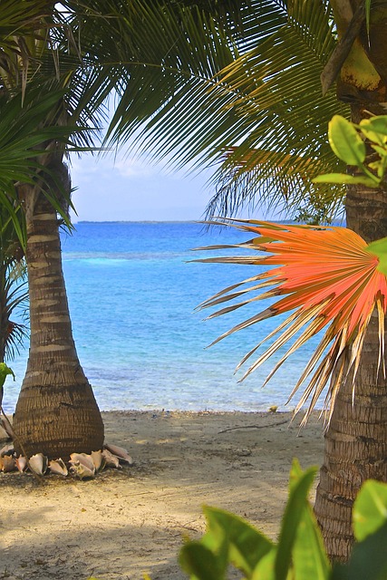 Free Belize Nature photo and picture