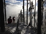 man's best friend, winter hiking, hiking