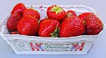 strawberries, shell, berries