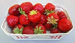 strawberries, shell, berries