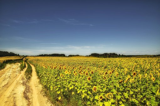 Free Nature Landscape photo and picture