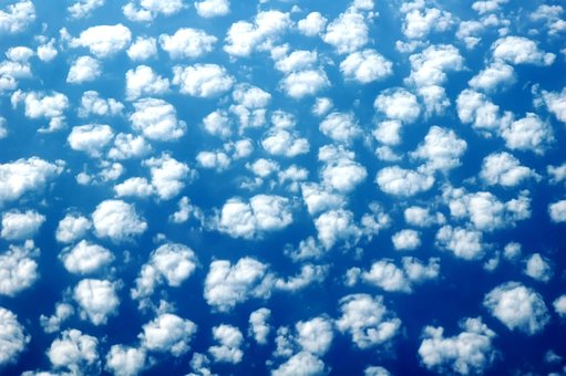 Ovelha, Céu, Fundo, Azul, Nuvens, Branco