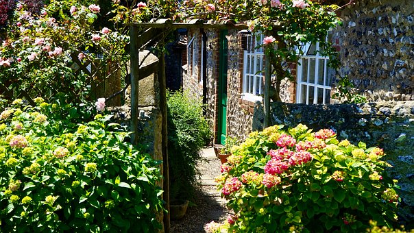 Garden, Path, Green, Summer, Gardening