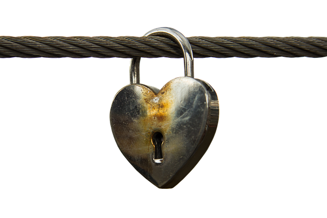 Free heart castle love lock illustration