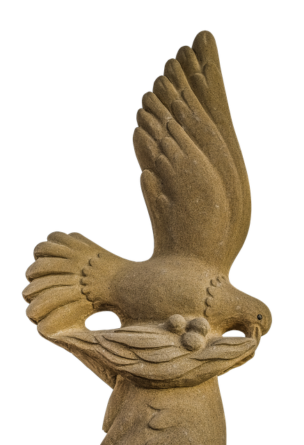 Download free HD stock image of Peace Dove Free peace dove olive branch illustration