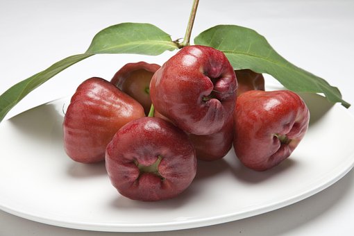 Cera Apple, Água Generalife