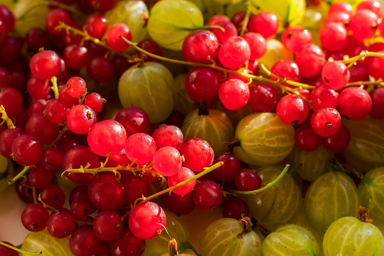 Fruit - free online jigsaw puzzle photo
