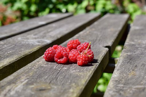 Free Raspberry Summer photo and picture