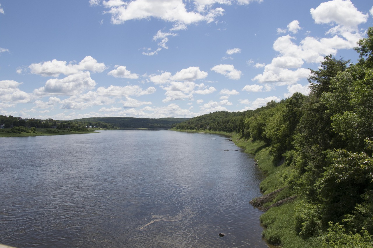 Nb Rivers La Rivière Saint-Jean New - Photo gratuite sur Pixabay - Pixabay