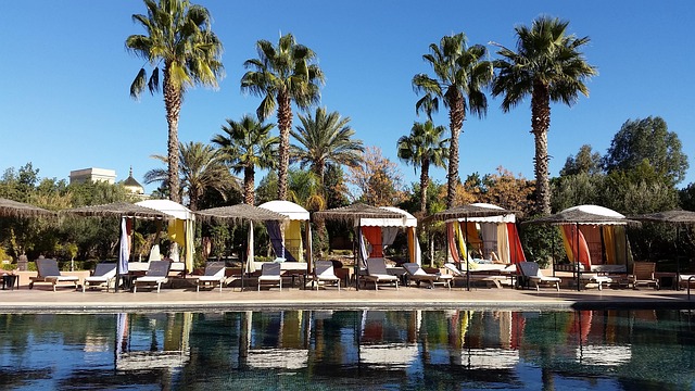 Free Pool Palm Trees photo and picture
