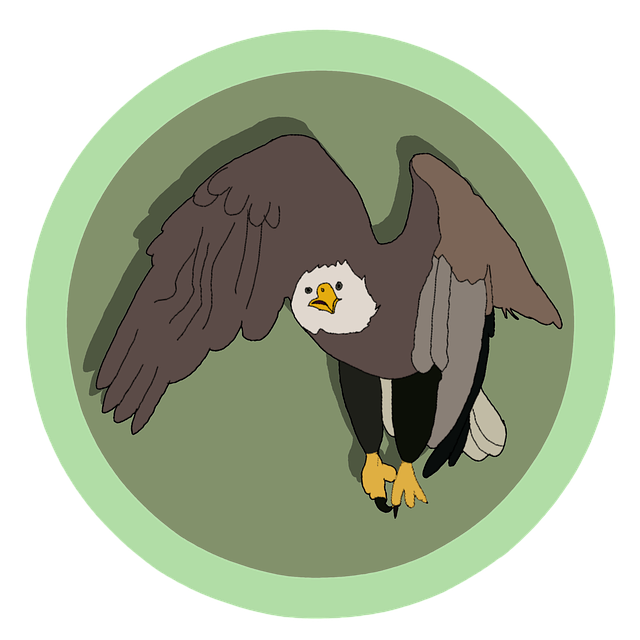 Trefwoorden, Eagle - Vogel, Vogel