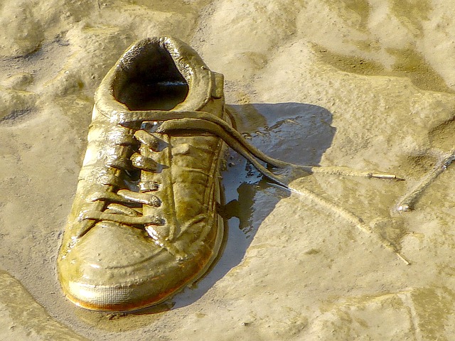 Zapatilla, Zapatos, Lodo