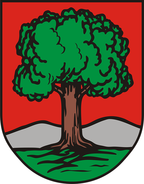 Våpenskjold, Wałbrzych, Polen