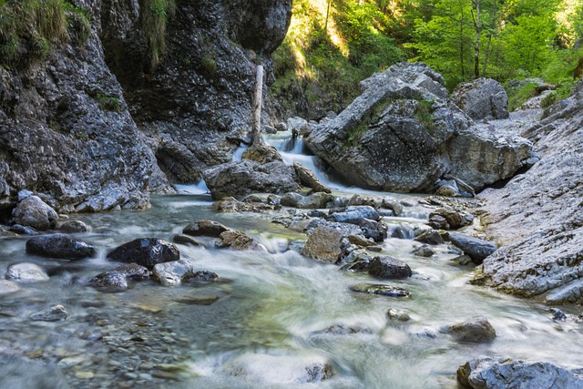 Free Flow Bach photo and picture