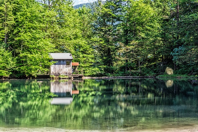 Free Reservoir Reflection photo and picture