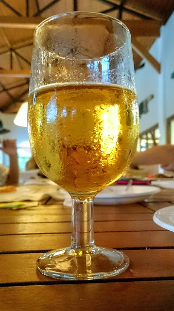 Bier, Trinken