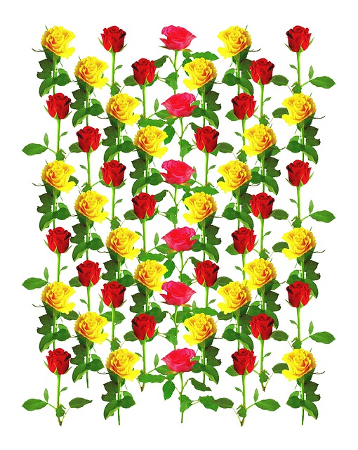 Rosenmuster, Rosen, Hintergrundbild