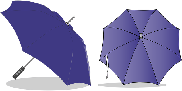 Free Parasol Umbrella vector and picture
