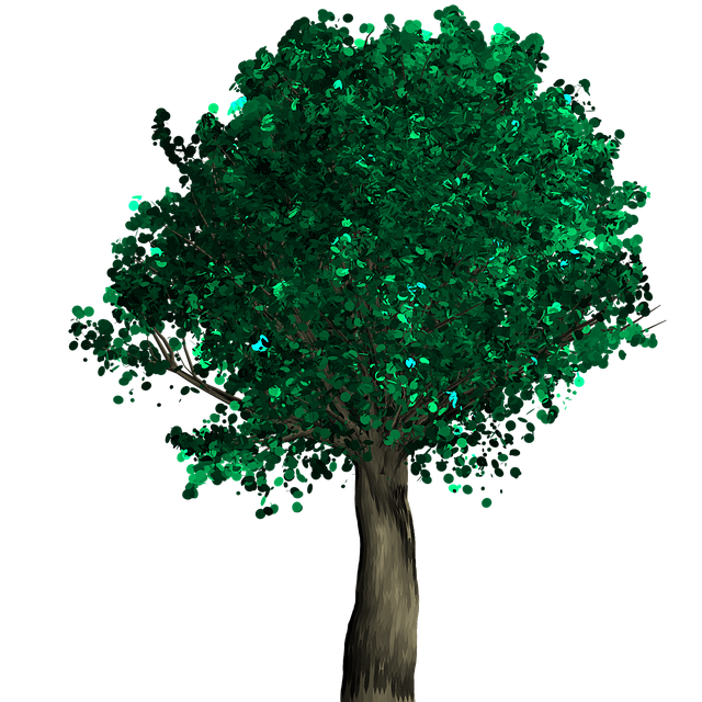 Free tree decorative green illustration