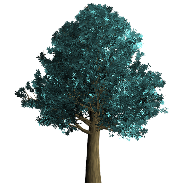 Free tree decorative green illustration