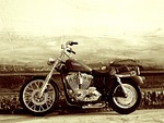 bike, harley, motorcycle