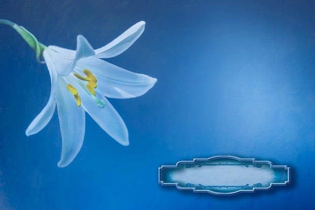 Free blue invitation place card illustration