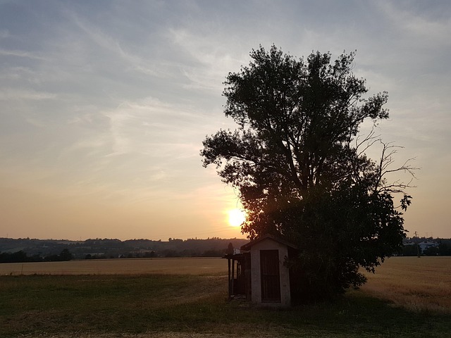Free Sunset Landscape photo and picture