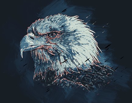 Free Eagle Colorful illustration and picture
