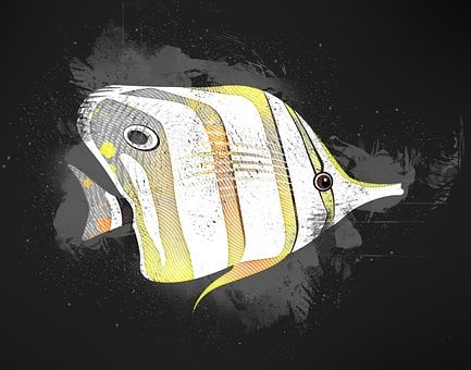 Free Fish Yellow illustration and picture