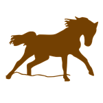nature, deserts, animal
