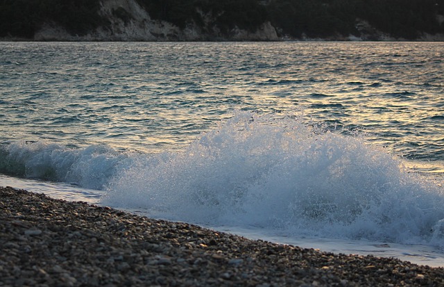 Free Evening Beach photo and picture