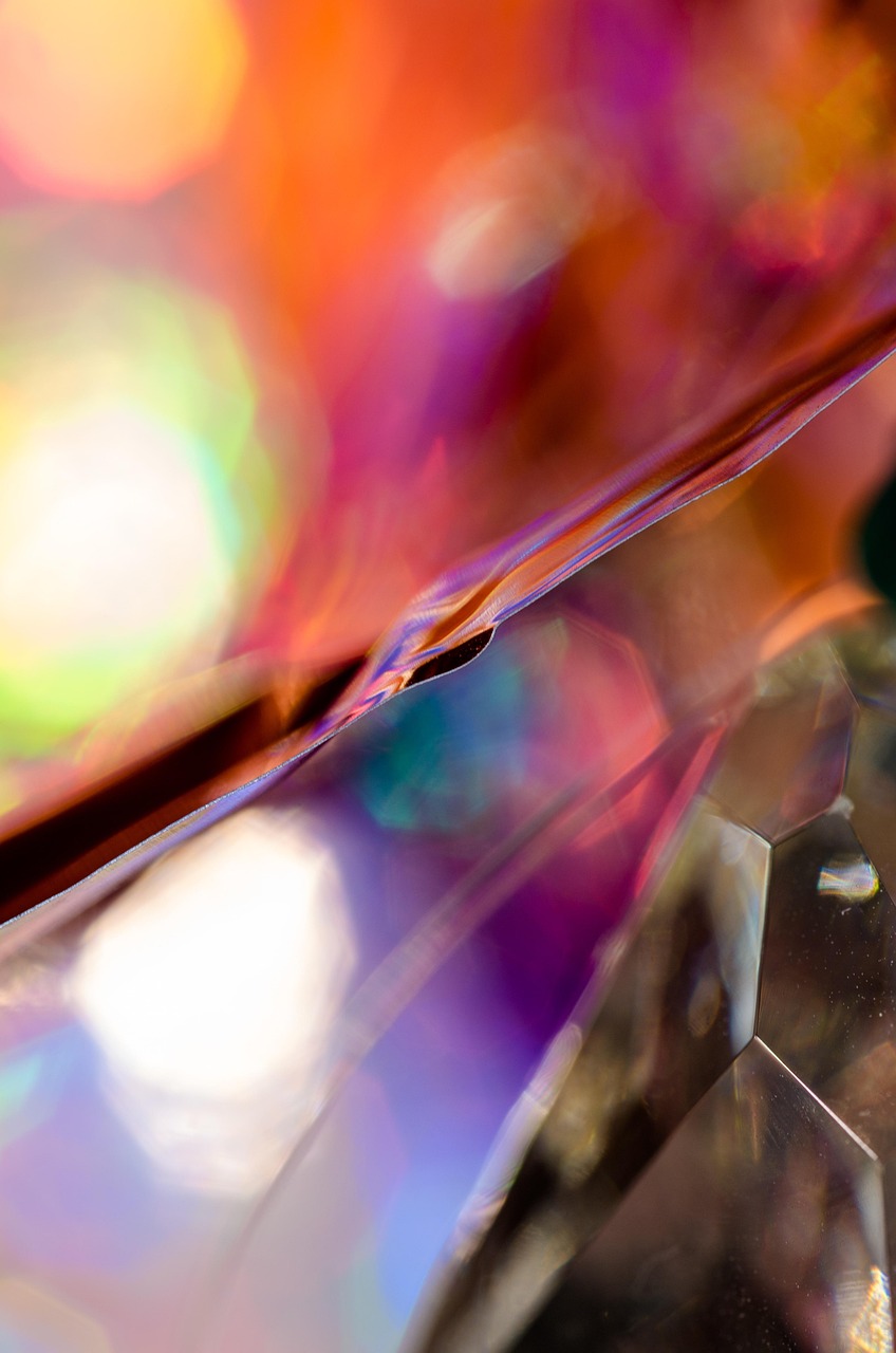 Macro Close Up Shot - Free photo on Pixabay
