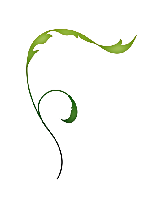 Free vine flowers leaves illustration