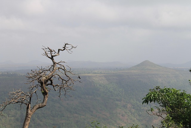 Free Mountain Hills photo and picture