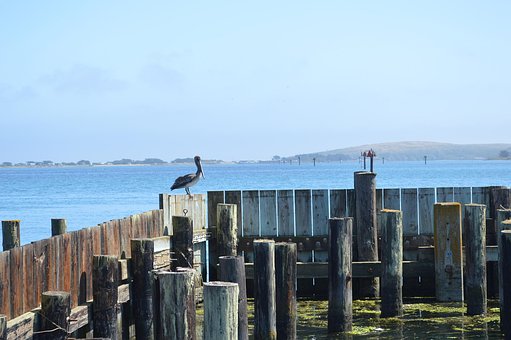 Califórnia, Bodega Bay, Pacífico, Cênica