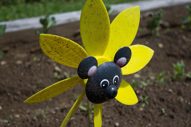 Free Garden Summer photo and picture