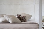 bed, sleep, sheets
