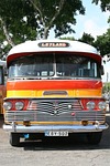 bus, traffic, road transport