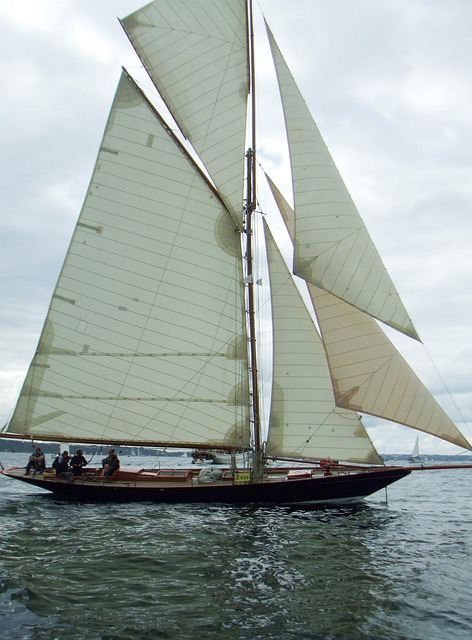 Free Sailboat Former photo and picture