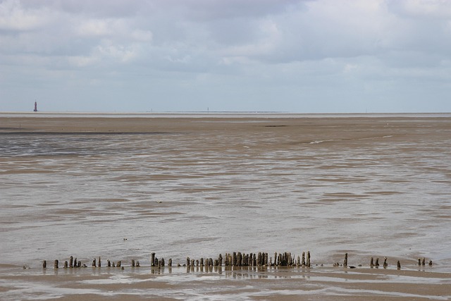 Free Watt North Sea photo and picture