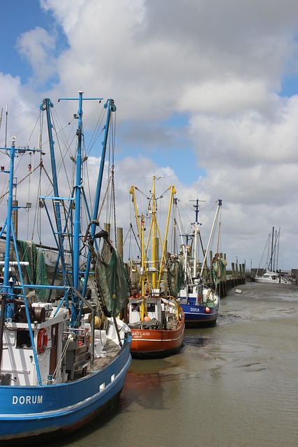 Free Crab Cutter Ebb photo and picture