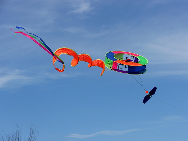 Free Kite Fly photo and picture