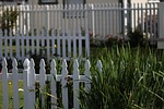 white picket fence, yard, outdoor