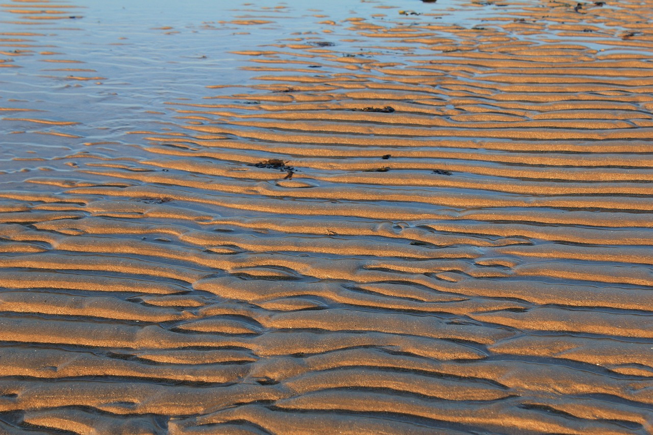 Sand Ripples Lines - Free photo on Pixabay - Pixabay