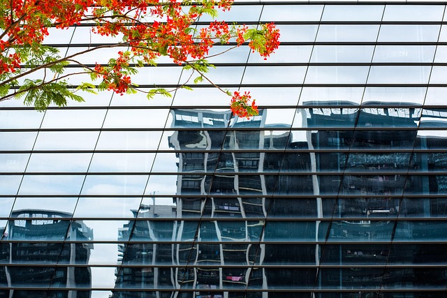 Free City Buttercup photo and picture