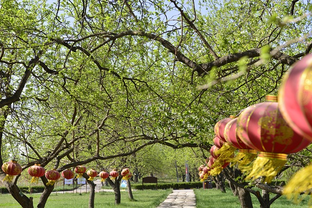 Free Spring Green Plants photo and picture